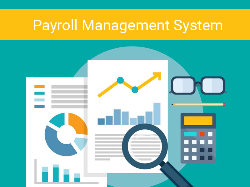Payroll Software Development